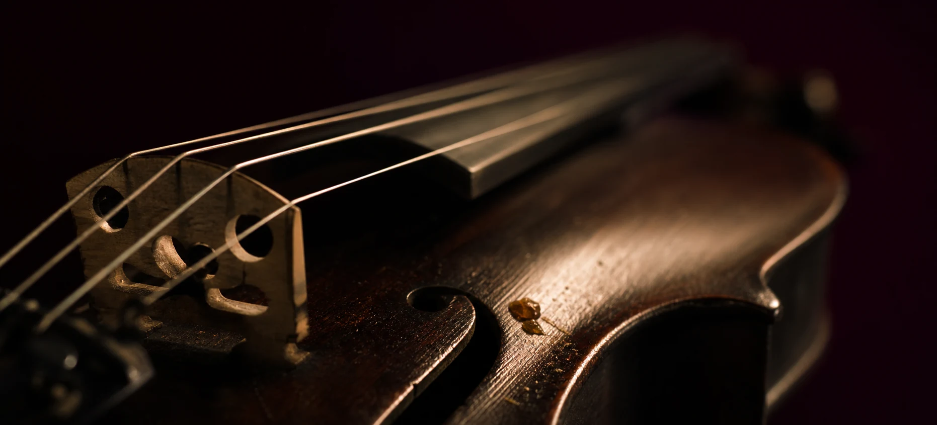 Violin strings and dark wood illuminated by a narrow warm light
